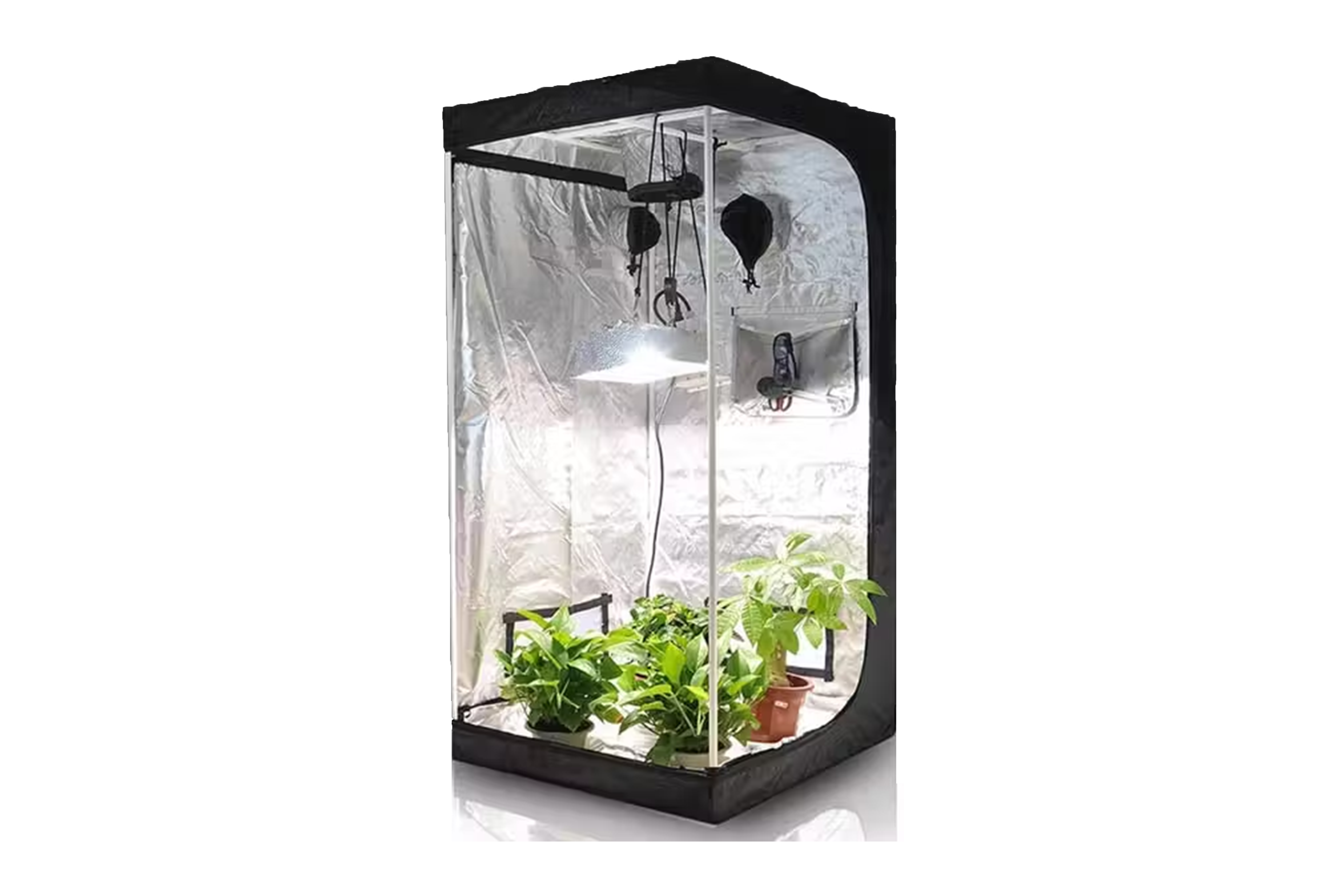 grow-area